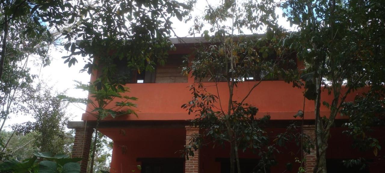 Casa Mango Bed & Breakfast Tulum Exterior photo