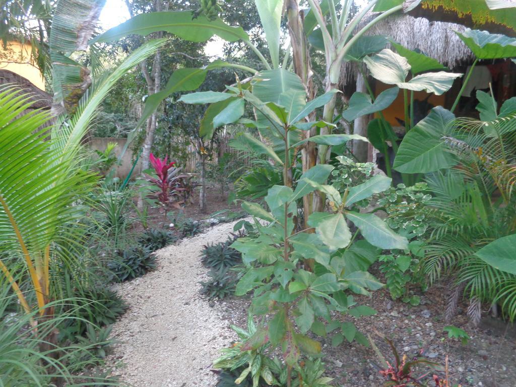Casa Mango Bed & Breakfast Tulum Exterior photo