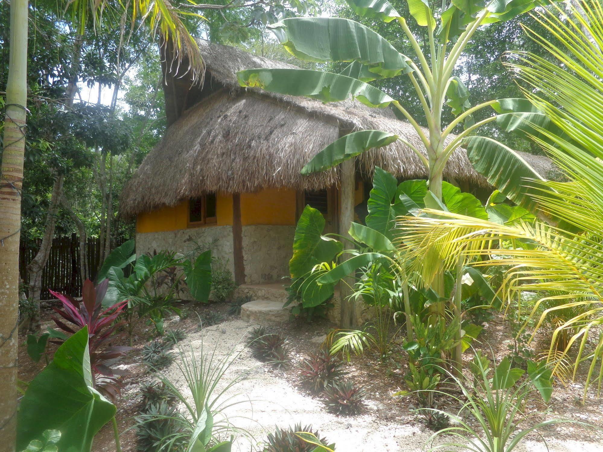 Casa Mango Bed & Breakfast Tulum Exterior photo